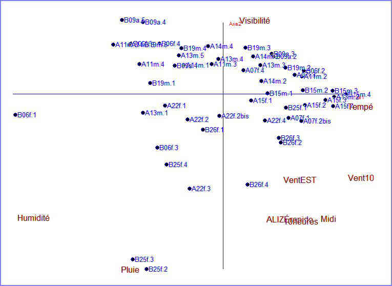 Visualisation par analyse en composantes principales (ACP)